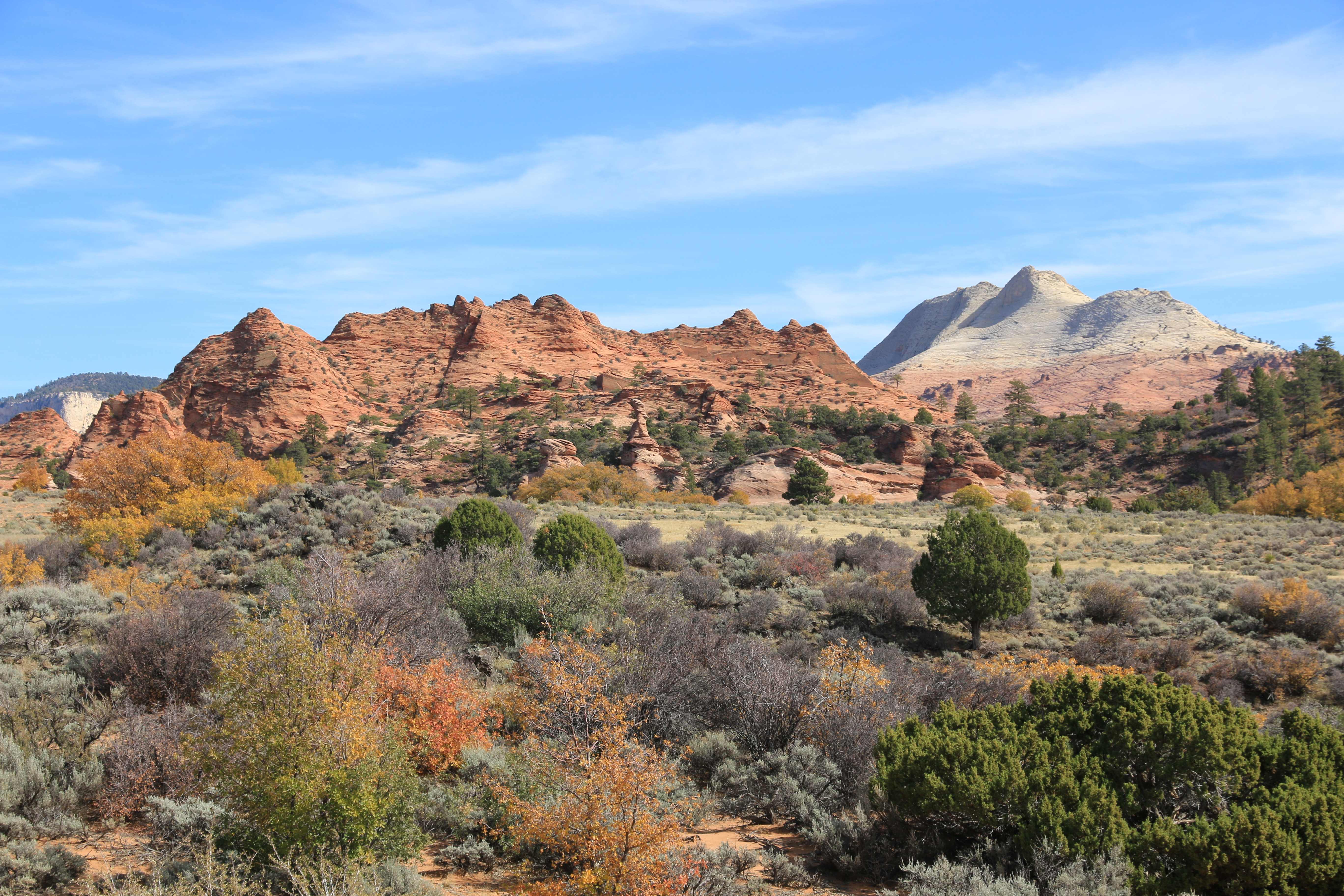 Zion NP